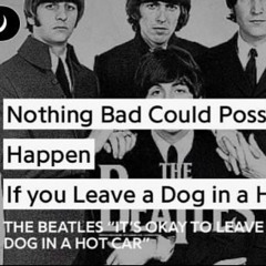 dog in a hot car (the beatles)