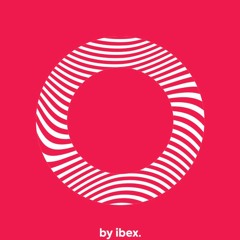 Podcast #16: The Importance of Choosing the Right Strategic Partner