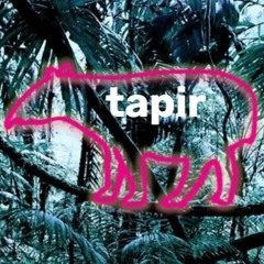 TAPIR - It's The Small Things (sketch)
