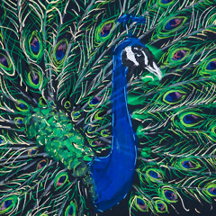 Starseed - Opening Jardin des Plantes