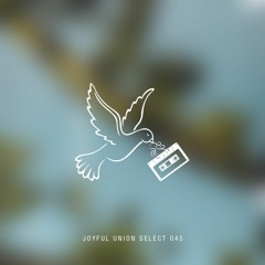 Joyful Union Select 045