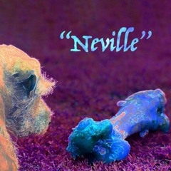 Neville