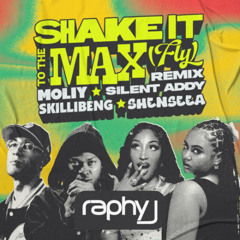 Shake It To The Max (FLY) (Raphy J Remix)