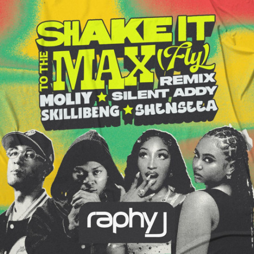Shake It To The Max (FLY) (Raphy J Remix)