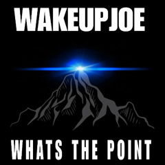 whats the point - 140 - prod wakeupjoe