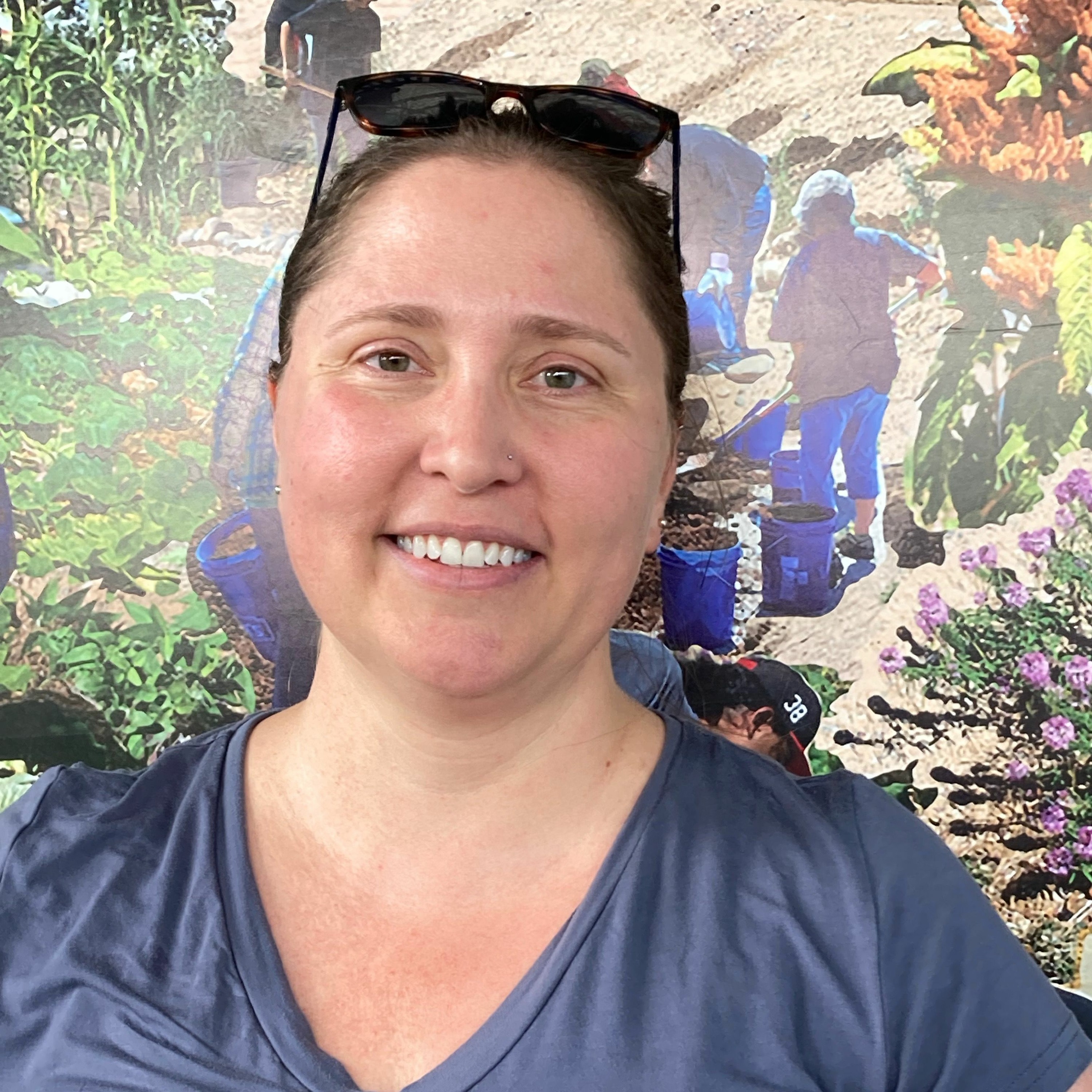 Seed Story Broadcasts