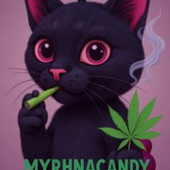 “Chemin Noir avec Marlie” — Version Dark House Poétique