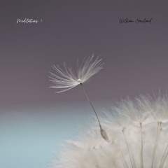 Meditations: 1