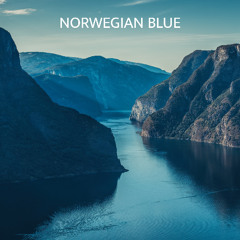 Norwegian Blue - Something New