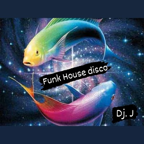 Funk house disco