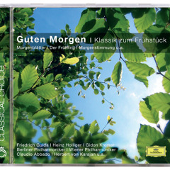 Mozart: Clarinet Concerto in A Major, K. 622: III. Rondo. Allegro