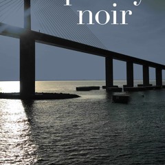 [PDF] ⚡️ eBook Tampa Bay Noir (Akashic Noir)