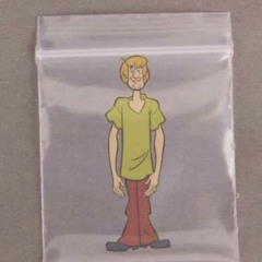 ShaggyinaBaggy