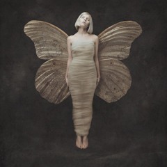 AURORA - My Heart Is A Storm