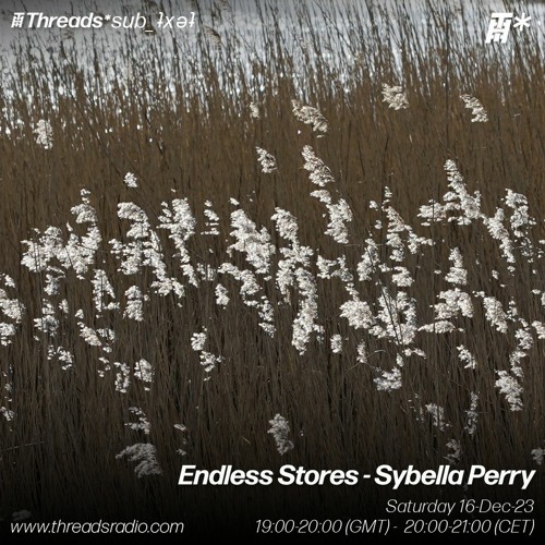 Endless Stores - Sybella Perry (*sub_ʇxǝʇ) - 16–Dec–23