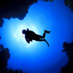 Deep Dive 20.05.2025