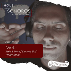 Hole Box Presents Sonoros Episode 17 - Guest Mix : VieL - May 2022
