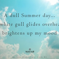haiku #393: A dull Summer day… / A white gull glides overhead, / brightens up my mood