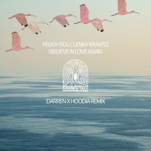 Peggy Gou, Lenny Kravitz - I Believe In Love Again (:DARREN X Hoodia Remix)