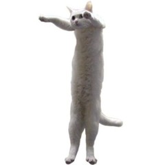(Free_21_minutes_music)_The_long white_cat
