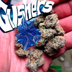 8Geekn - Gushers [krazy8]