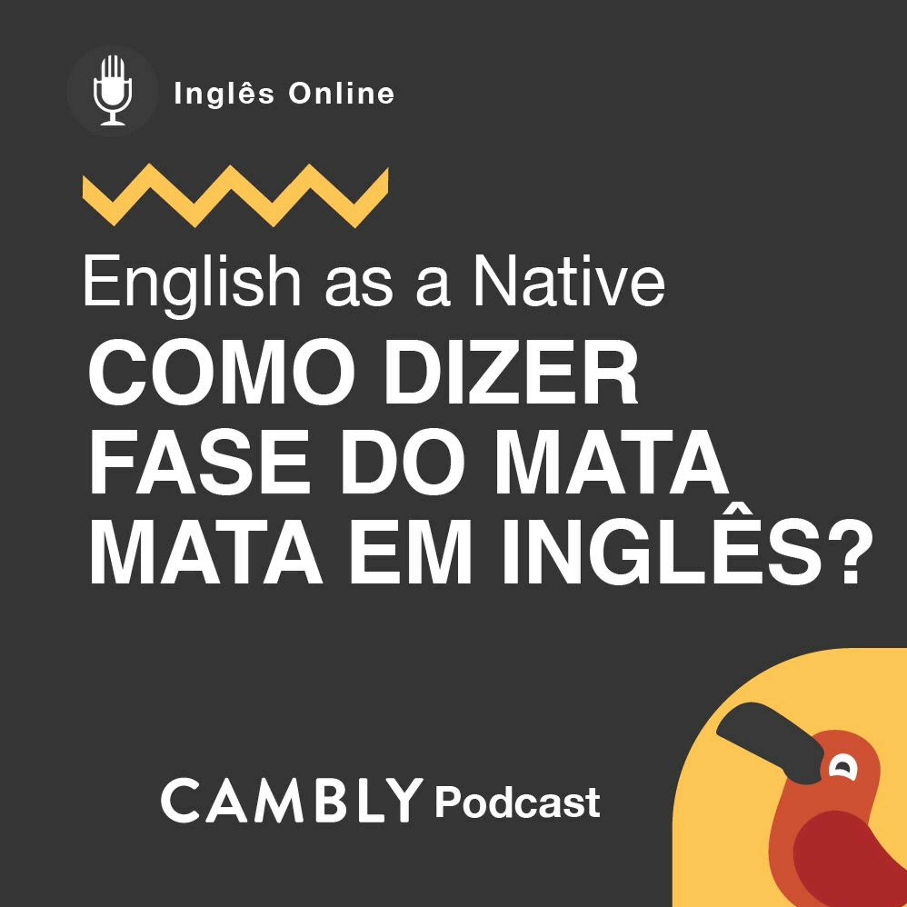 Ep 280. Vocabulário da Copa do mundo. "Fase do mata mata" em inglês? | English as a Native