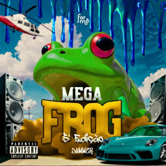 MEGAFROG 5ª Edição - IM2K25 (DJ DUMMER)