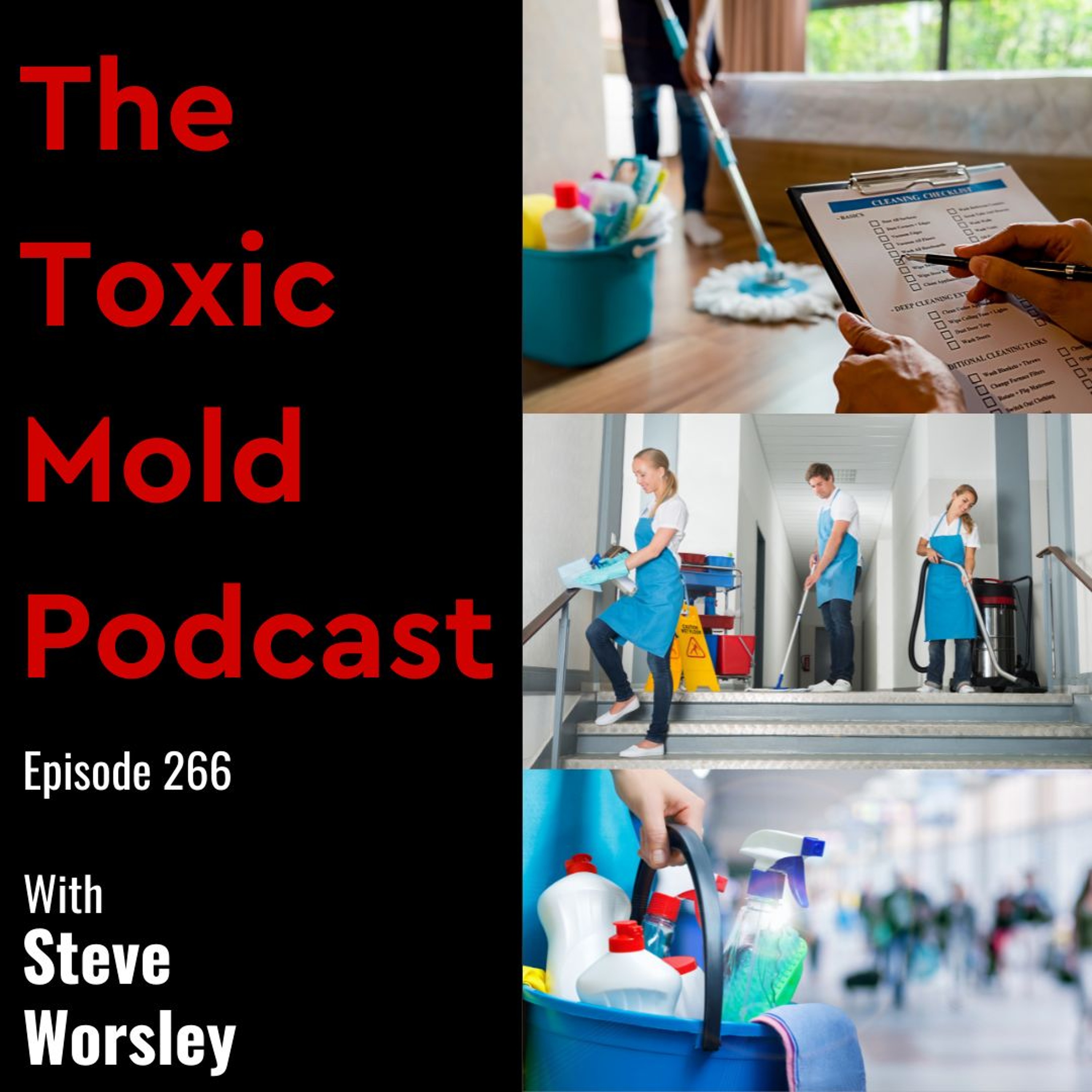 The Toxic Mold Podcast