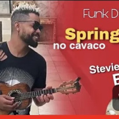 Spring Love - Stevie B