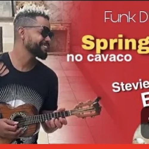 Spring Love - Stevie B