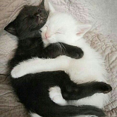 the wisp sings but its raining