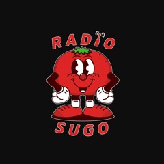 Radio Sugo X Zero