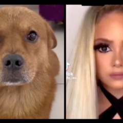 Hayyy yall listen to this Logic Pro ES2 preset