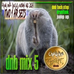 dnb mix5, by dj charlie swift autumn 2024