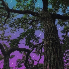 ***** $tar the Gothic -Prod. Steezythearchitect