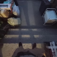 phonk noskip shuffle mod only