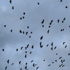 TiME(Prod. Slugwurf)