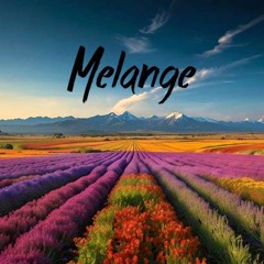 SWEET ECLECTIC (Performed by Melange)