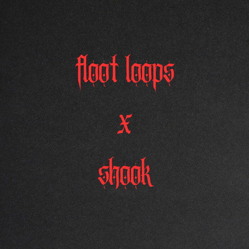 FLOOT LOOPS X SHOOK
