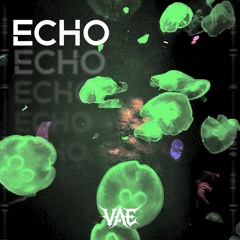 Echo