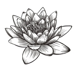 Tesla - Live Your Passion