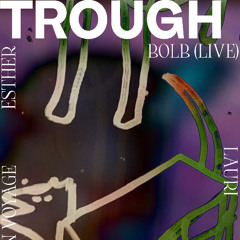 Trough