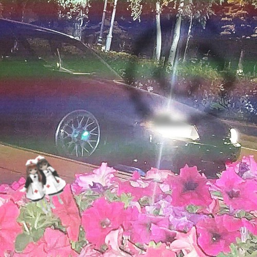 disordered pride ?#??#?