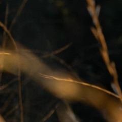 Goldeneye (Arswain Remix)