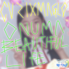 cvzixmaglo - onuma beautiful life 2000