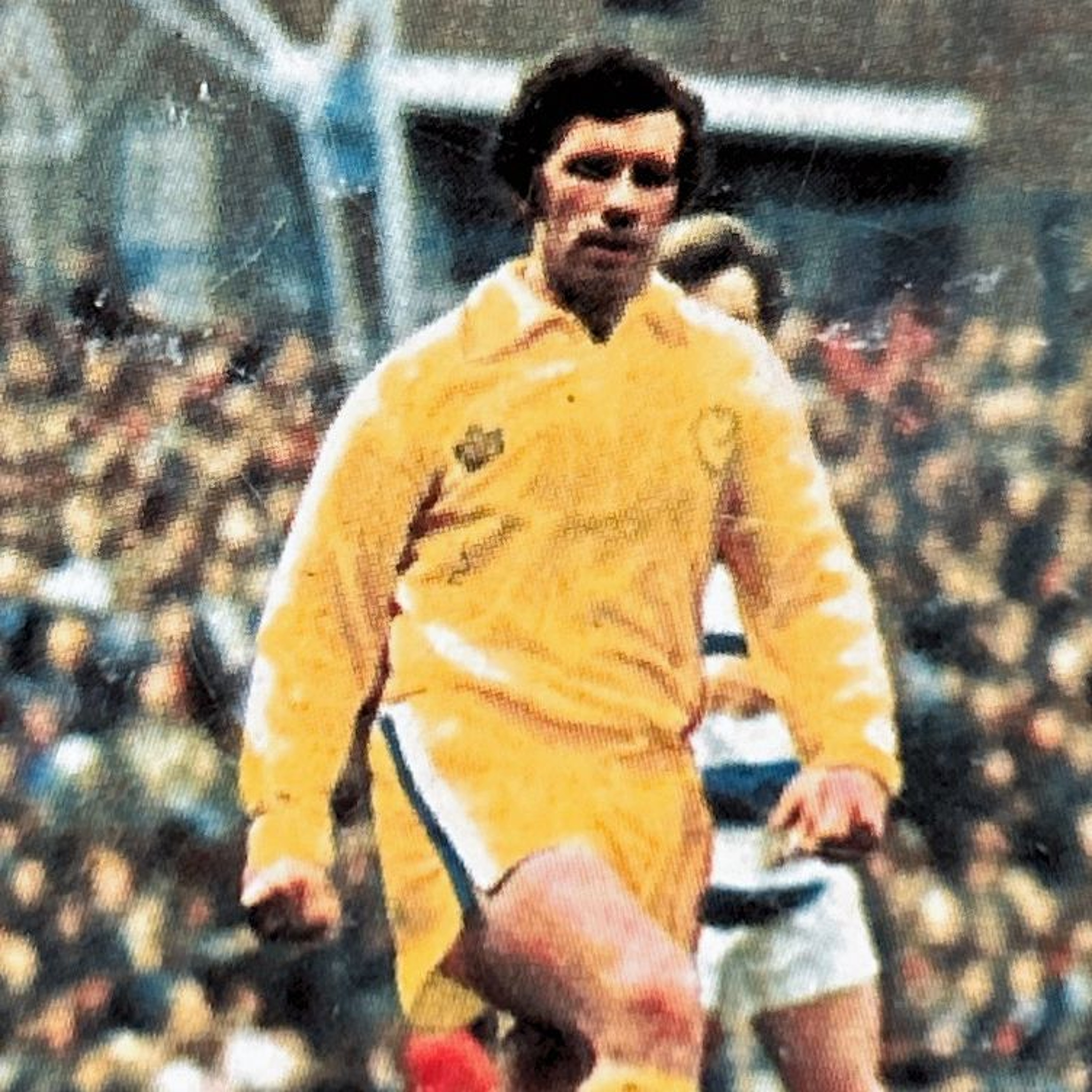 Generasjon Tippekamp