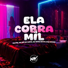 ELA COBRA MIL - DJ CAYOO & DJ VITIN DO PC - MC PW E MC WS DA LESTE - 2025