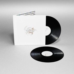 PREMIERE : YS - Untethered