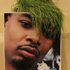 Danny Brown X Garden Warfare