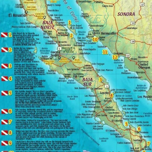 Stream episode [READ DOWNLOAD] Baja & Sea of Cortez Mexico Dive Map